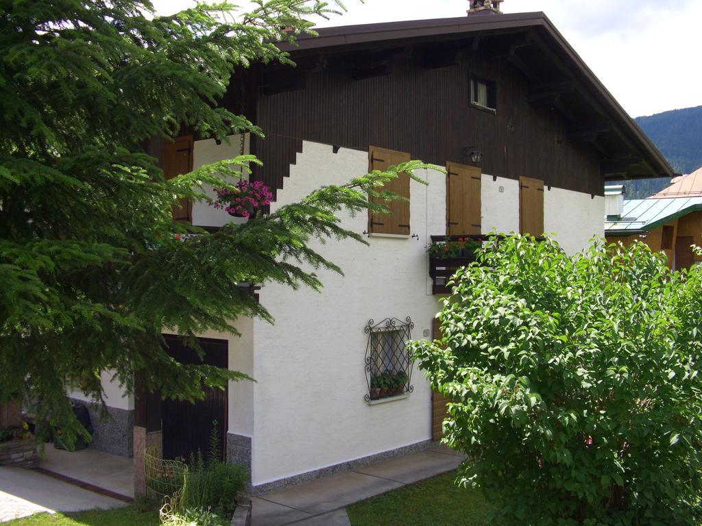 Mountain Chalet Cime D'Auta Dolomiti Apartment ฟัลกาเด ภายนอก รูปภาพ